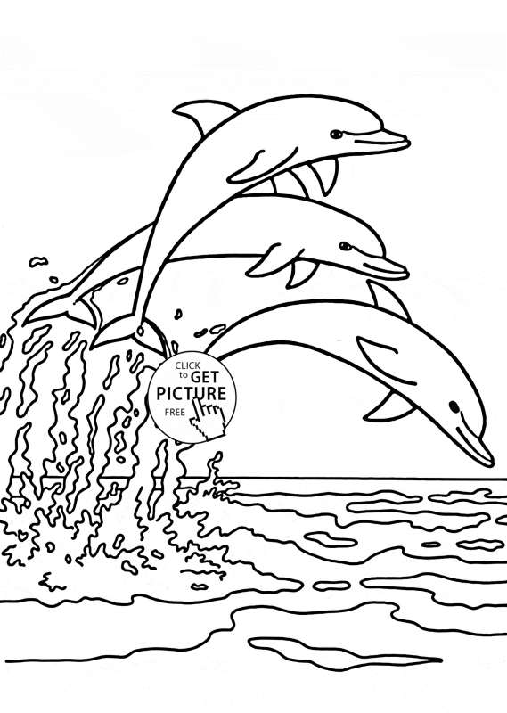 Kolorowanka delfin 027