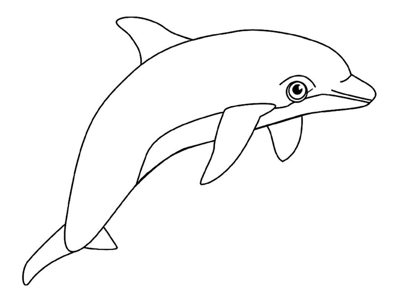 Kolorowanka delfin 047