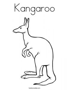 Kolorowanka kangur 018