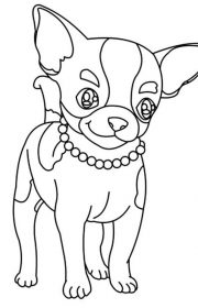 Chihuahua - kolorowanka z psem do druku