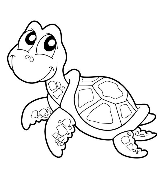 Darmowa kolorowanka z żółwiem dla dzieci