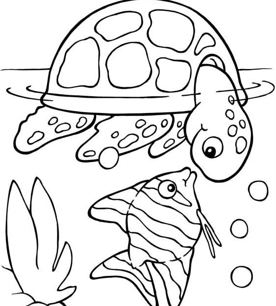 Domowy żółw w akwarium - kolorowanka do druku