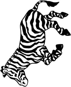 Galopująca zebra - kolorowanka do druku