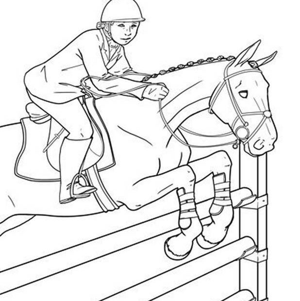 Jeździec na koniu przeskakujący przeszkodę