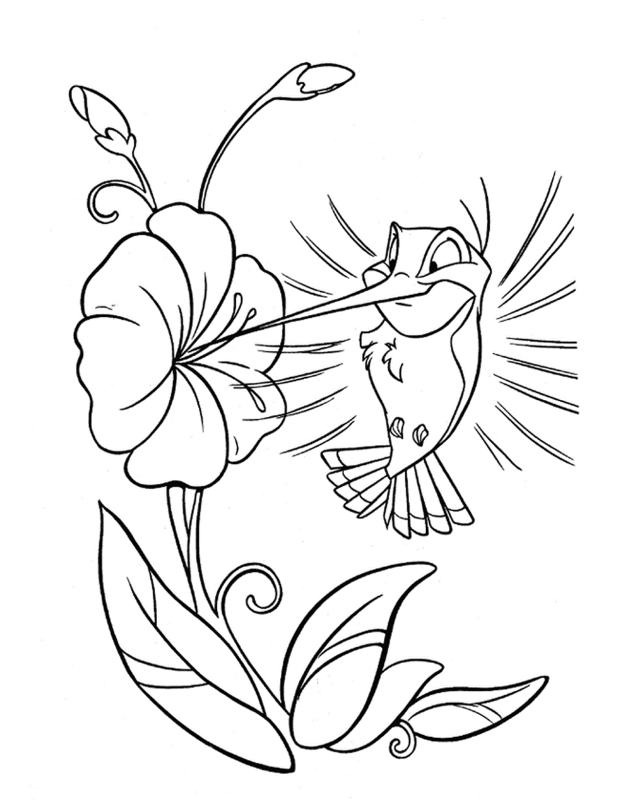 Koliber kolorowanka z ptakiem do druku