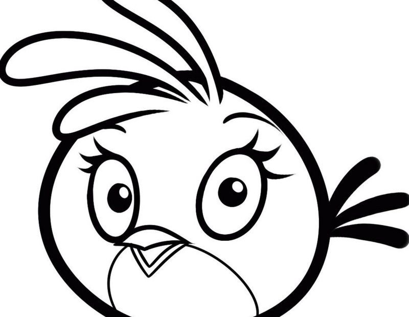 Kolorowanka Angry Birds do wydruku online