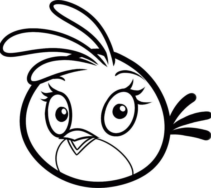 Kolorowanka Angry Birds do wydruku online