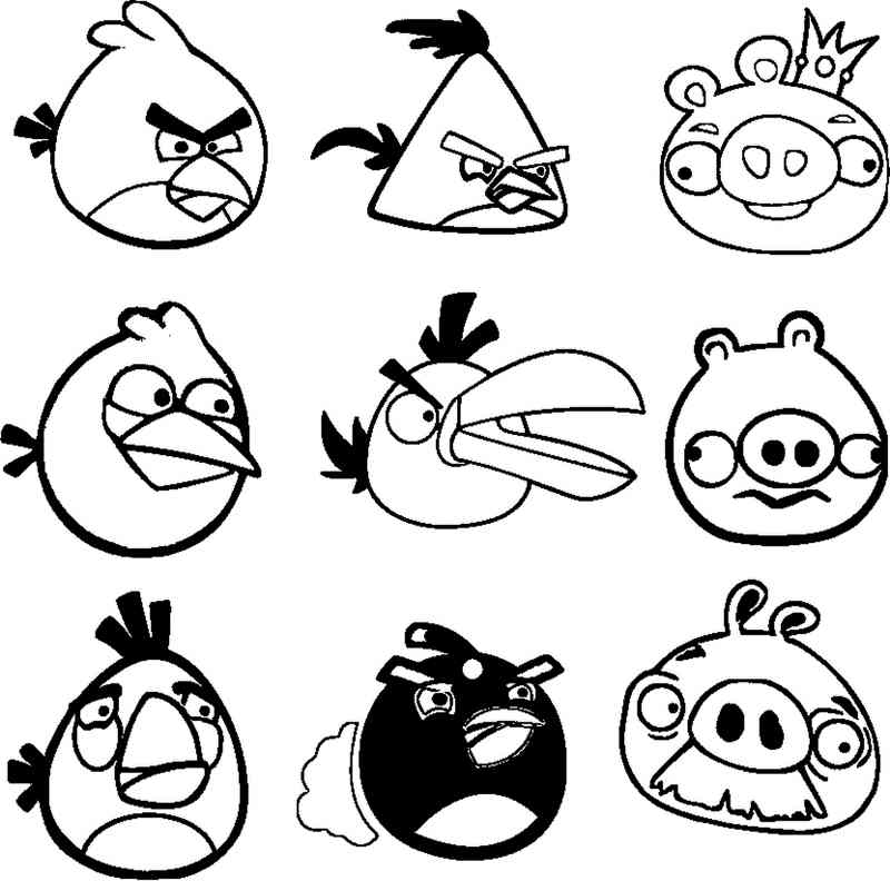 Kolorowanka do druku z głowami ptaków Angry Birds