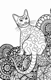 Kolorowanka kotek i wzory do druku