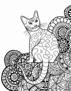 Kolorowanka kotek i wzory do druku