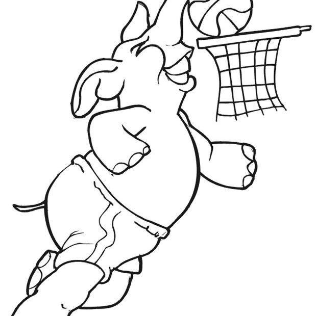 Kolorowanka sportowa ze słoniem wrzucającym piłkę do kosza