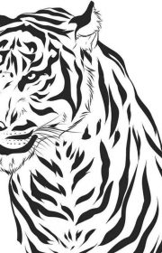 Kolorowanka tygrys do druku dla dzieci