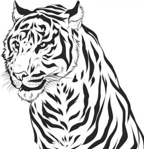 Kolorowanka tygrys do druku dla dzieci