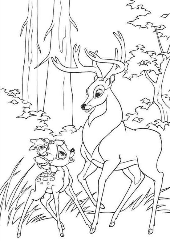 Kolorowanka z Bambi i jego matką w lesie