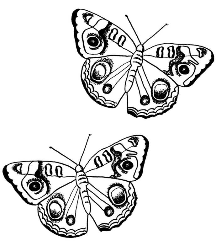 Kolorowanka z dwoma motylkami do druku