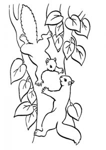 Kolorowanka z dwoma wiewiórkami na drzewku