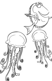 Kolorowanka z meduzami z bajki Nemo