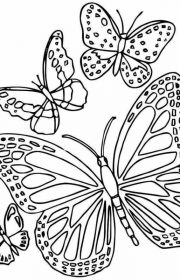 Kolorowanka z motylami dla dzieci