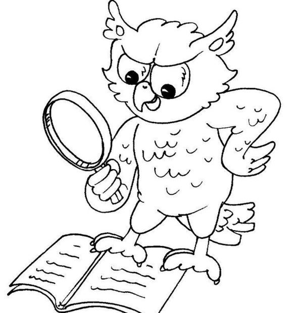 Kolorowanka z sową czytającą książkę przez lupę