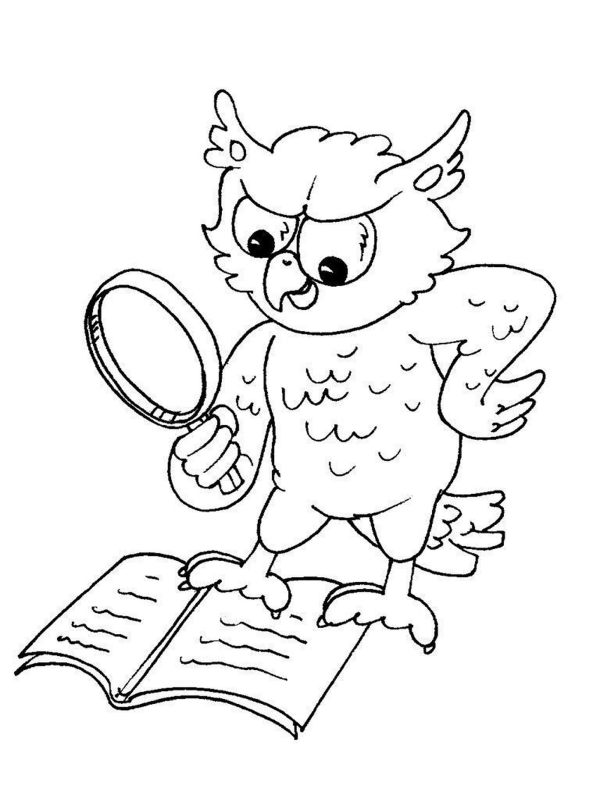 Kolorowanka z sową czytającą książkę przez lupę