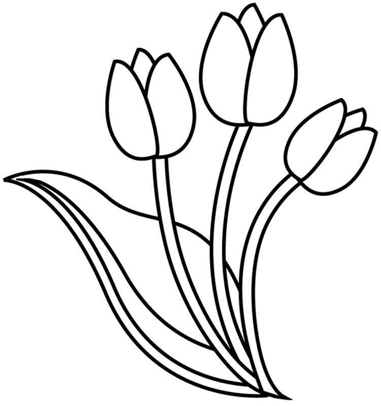 Kolorowanka z trzema tulipanami do druku