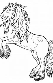Koń fryzyjski darmowa kolorowanka