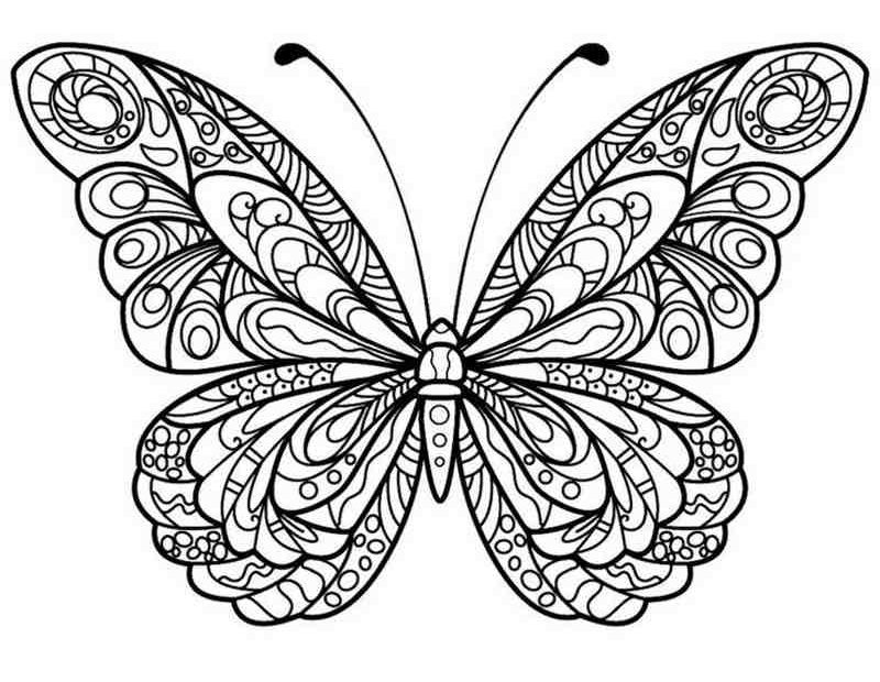 Motyl - darmowa kolorowanka dla dzieci