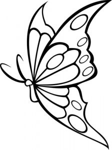 Motyl z dużymi skrzydłami do kolorowania
