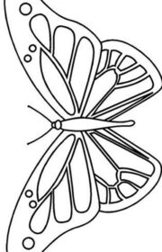 Obrazek do kolorowania z motylem
