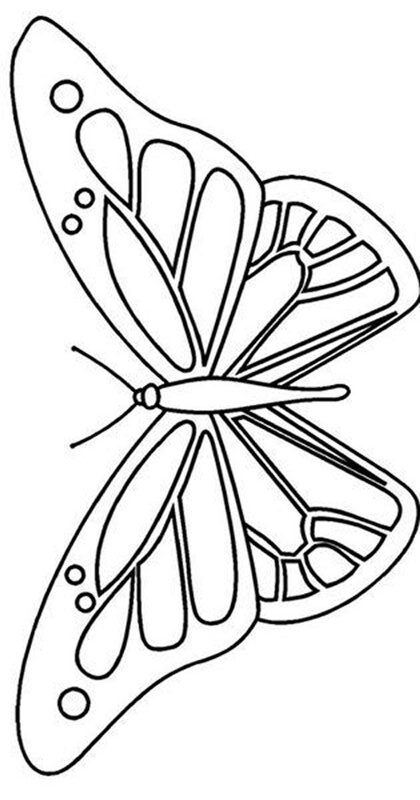 Obrazek do kolorowania z motylem