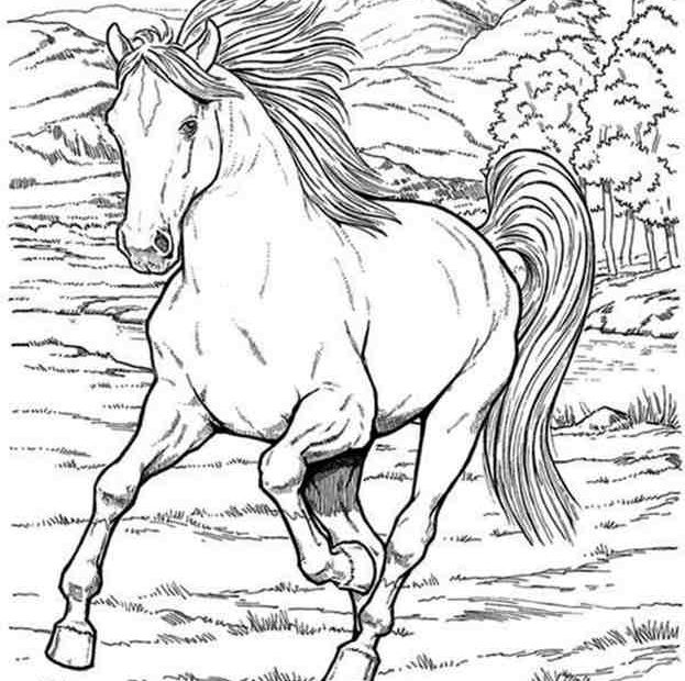 Obrazek z koniem w górach do druku