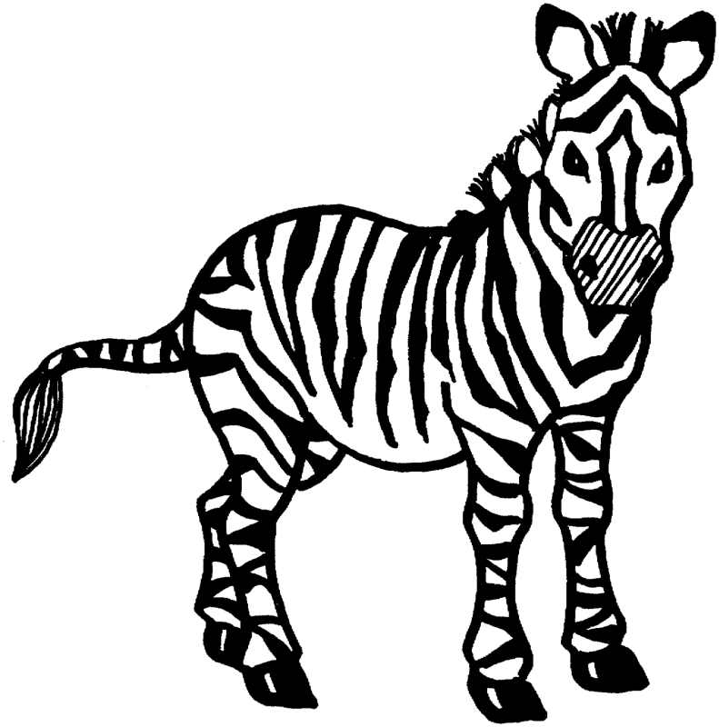 Obrazek z zebrą do kolorowania