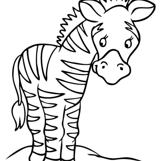 Obrazek zebry - kolorowanka dla dzieci