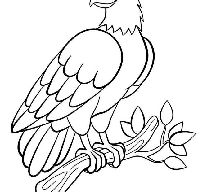 Orzeł - kolorowanka z ptakiem do wydruku