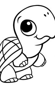 Piękny żółw jako darmowa kolorowanka dla dzieci w PDF