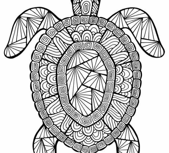 Szczegółowa kolorowanka z żółwiem dla dzieci