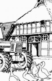 Traktor i gęsi na farmie do drukowania
