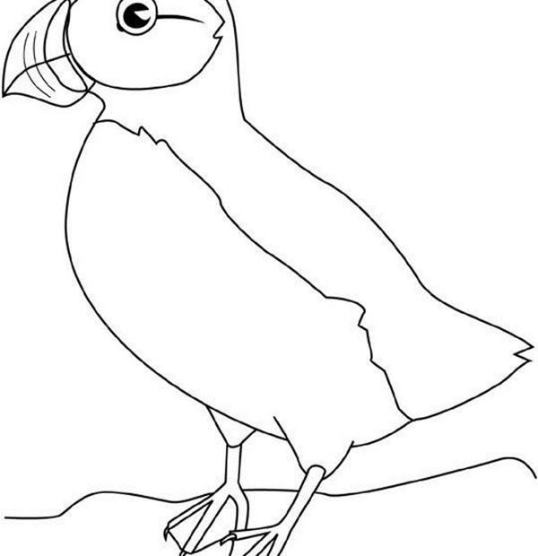 Tukan - ptaszek do kolorowania dla dzieci