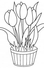 Tulipany w doniczce - kolorowanka dla dzieci