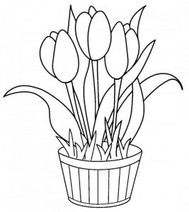 Tulipany w doniczce - kolorowanka dla dzieci