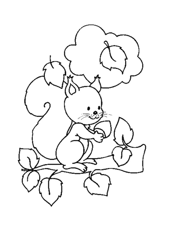 Wiewiórka na drzewie - malowanka dla dzieci