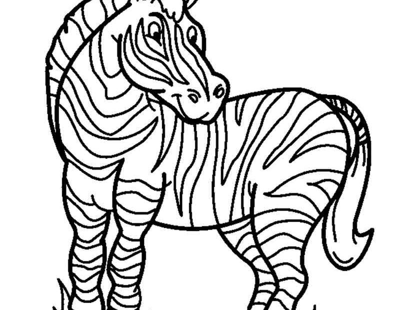 Zadowolona zebra w zoo - kolorowanka do druku