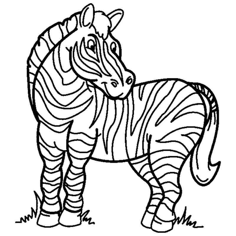 Zadowolona zebra w zoo - kolorowanka do druku