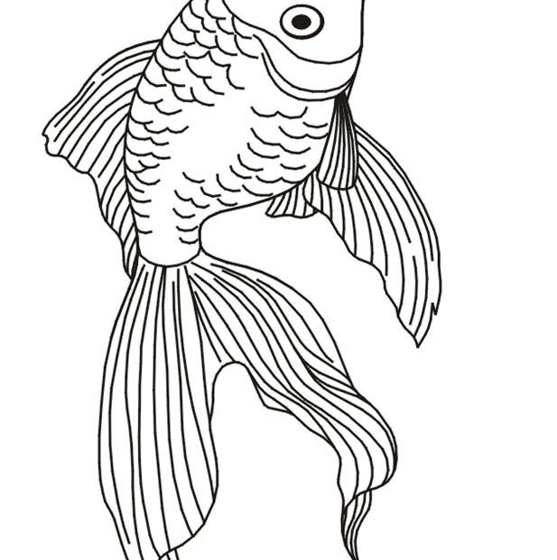 Złota rybka - kolorowanka dla dzieci