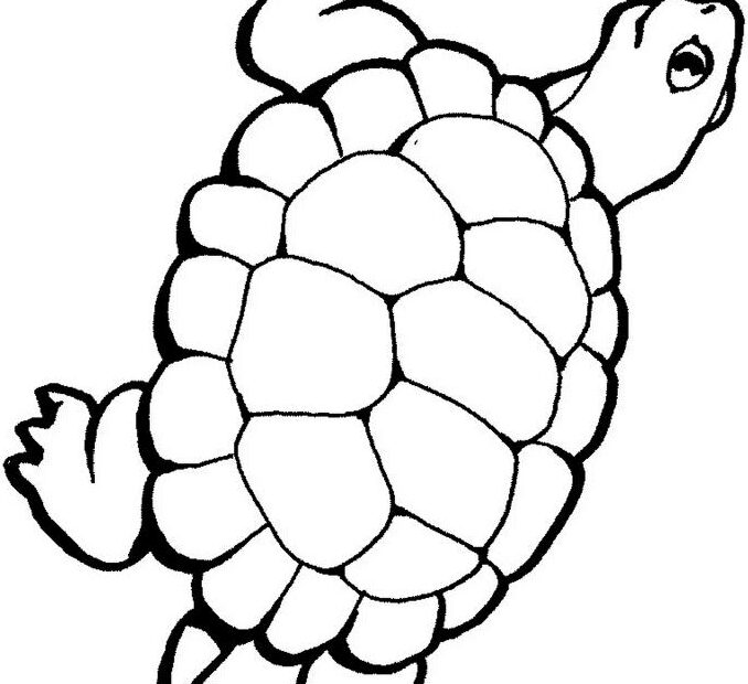 Żółw z ogromną skorupą - kolorowanka dla dzieci